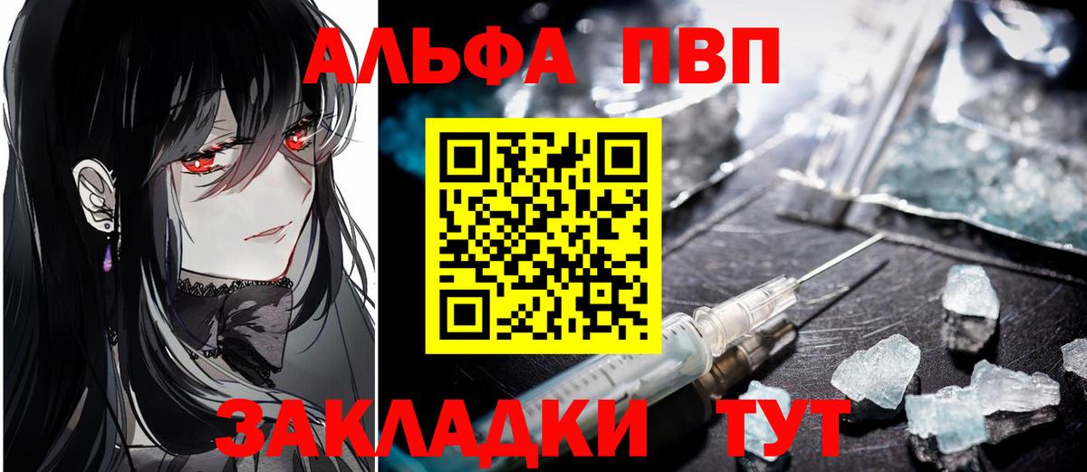 A-PVP СК Орехово-Зуево