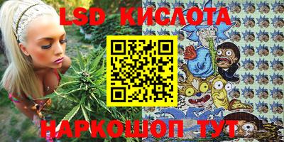 прущие грибы Сланцы