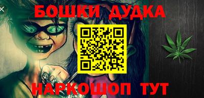 прущие грибы Сланцы