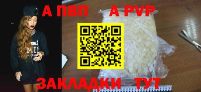 прущие грибы Сланцы